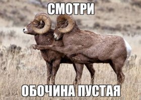 Подборка автомобильных приколов