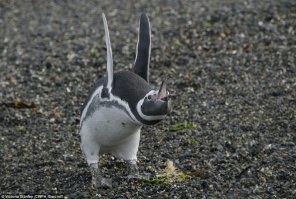 Классный пост. Перезагрузка (по ходу Linux).