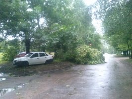 До чего потоп довел Ульяновск и ульяновцев