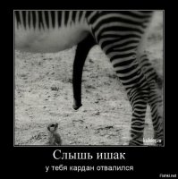 Размер - не главное?