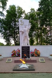 Мой город Электроугли, Московская область