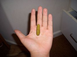 Тот самый пост, насквозь пропитанный идиотизмом