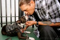 Да какая в дупу история? Суровая рожа и умение красиво махнуть холодняком сделали его карьеру.
Хотя по жизни он няшка.