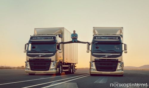 Это котенок Ван Дамма ))