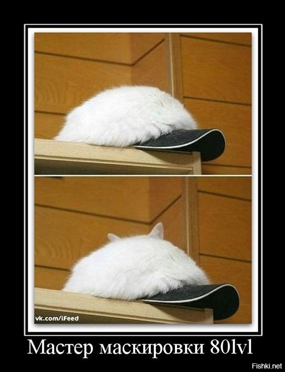 Они старались не палиться, но вышло то, что вышло