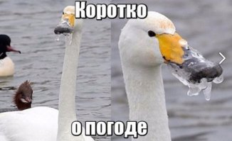 О наболевшем