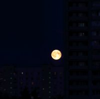 Я обычно на луну "охочусь "