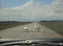 Переезжаем.