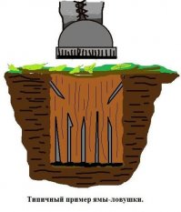 Дачная война