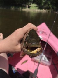 Заморил червячка :)