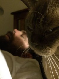 Интернет мемы