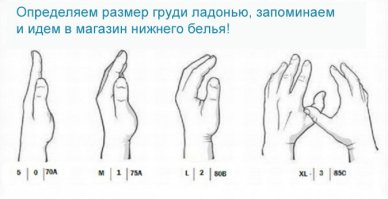 От А до D: как выглядит карта мира по размерам бюстгальтеров