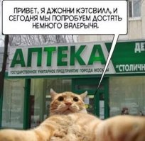 Интернет мемы