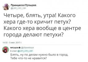 Cyкa, как я ненавижу петухов! Центр города, а эта падла уже второй год в четыре утра начинает свой концерт. Когда уже снесут этот чертов частный сектор