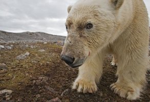 Этот незабываемый летний отдых на Севере
