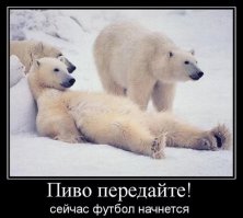 Этот незабываемый летний отдых на Севере