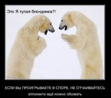 Этот незабываемый летний отдых на Севере