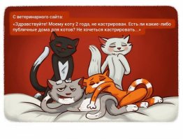 Легкий юмор для поднятия настроения