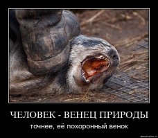 Связь человека и природы