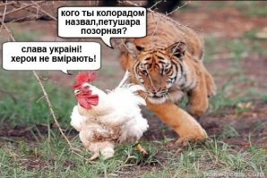 О "кровавом диктаторе", Сталине