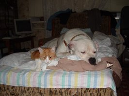 а мой сын - вот так