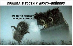 Смешные комментарии и высказывания из социальных сетей