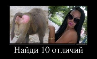 40 вещей и людей, схожесть которых зашкаливает