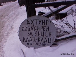 Дачная война