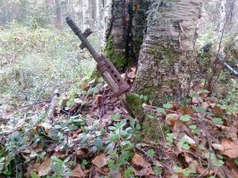 Жажда жизни и великая сила природы