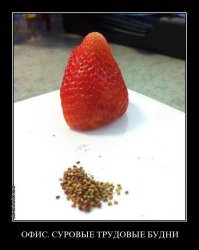 Клубнику надо было - так почистить