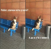 Подборка забавных картинок с подписями
