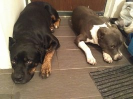 Когда дома что-то случилось, а ты ещё не в курсе