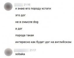 переводчик выдаёт -mastiff