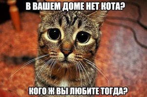 Крошечный лохматый байкер
