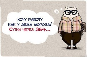 Подборка забавных картинок с подписями