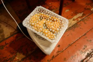 Рискну предположить, это из общаги гуманитарного ВУЗа.