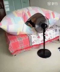 если нет занавесок