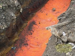 У нас и не такое выбрасывают , Россия щедрая душа :)