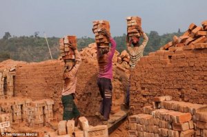 В Азии, Индии, Африке и не такое увидишь, потом просто перестаёшь замечать. Этому удивляются первый раз, на десятый год поездок, ты их ещё нанимаешь и прикрикиваешь, что медленно шевелятся. Там часто нет не то, что погрузчиков или роклы, их в горы не притащить или живут очень бедно. А строить там иногда что-то надо или сделать полезного, вот дают таких десяток овощей, таджики по сравнению с ними ещё ничего. Очень не люблю работать в Азии или тем более в Африке, да и Л.Америка не лучше.