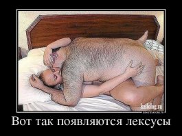 Свежая подборка демотиваторов, которые поднимут вам настроение