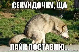 20 «умников», которые решили не тратить деньги на автосервис