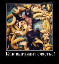 Свежая подборка демотиваторов, которые поднимут вам настроение