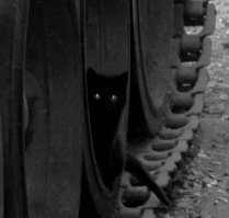 Не пробили "щучий нос"