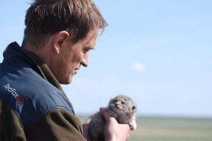 Судя по взгляду, он уже хищник-хищник!!!