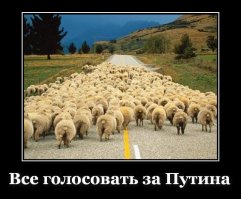 Свежая подборка демотиваторов, которые поднимут вам настроение