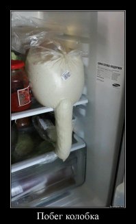 Свежая подборка демотиваторов, которые поднимут вам настроение