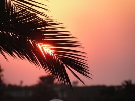 Ребяты! Не верьте этому писсимисисту!!!:) У него стакан всегда наполовину пустой!!! Море... Оно вот такое... И закаты вот такие...