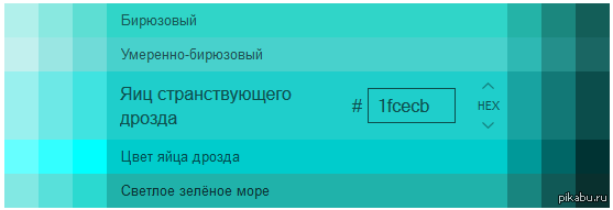 Яндекс знает что это за цвет