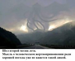 Свежая подборка демотиваторов, которые поднимут вам настроение