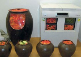 Увлекаюсь Южной Кореей, там это кимчи ведрами жрут. У каждого дома специальные холодильники для хранения. Без него не обходится ни одно блюдо, как у нас соленья и маринад. И, к слову, так же считают, что полезно для здоровья как и рис. Зато ходят все стройные, густые волосы, белозубые.